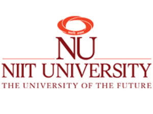 NIIT University campus photo 1