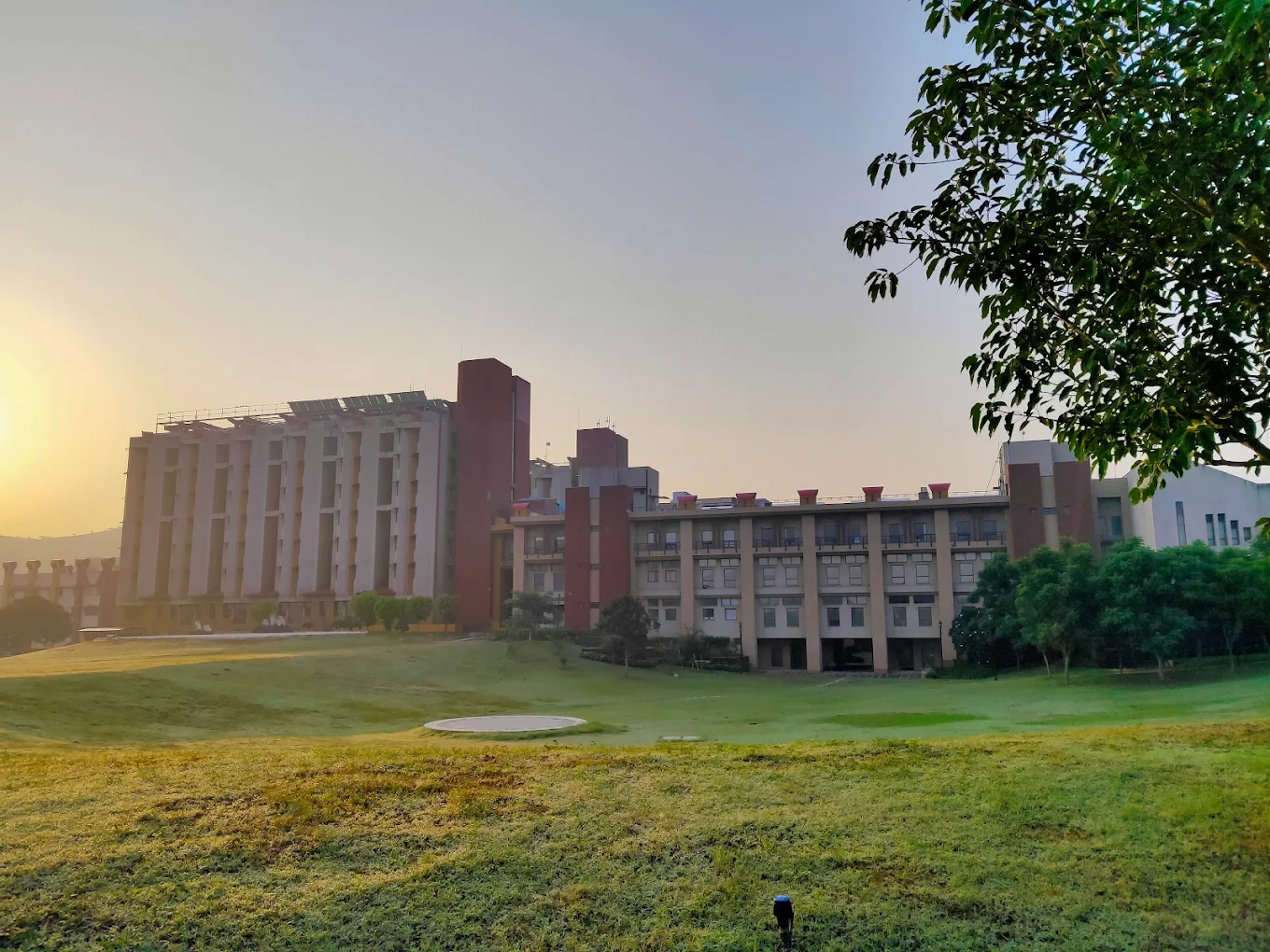 NIIT University campus photo 3