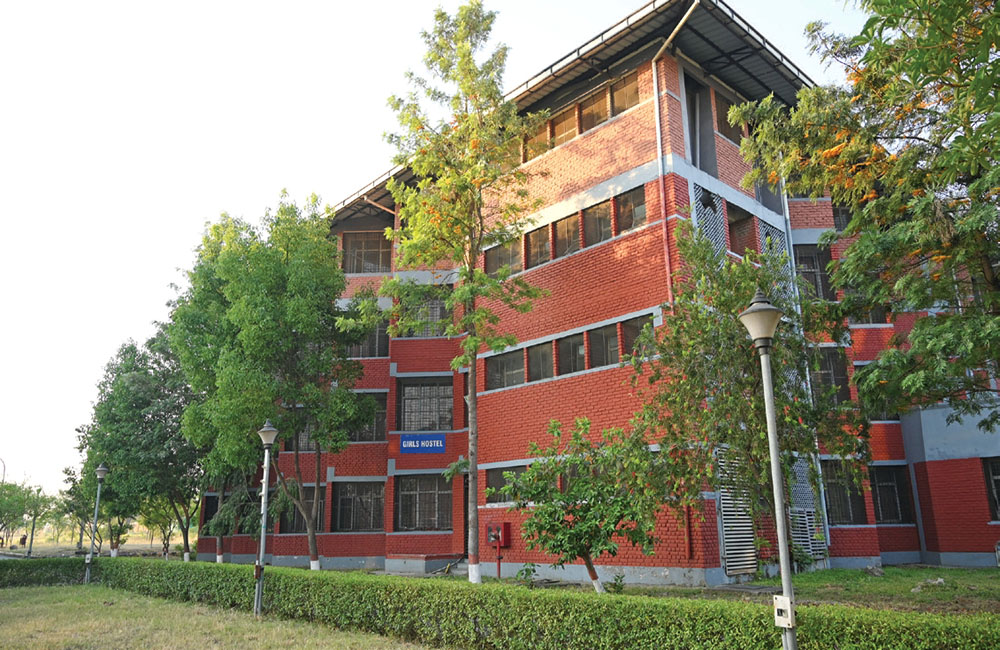 University Gallery Image