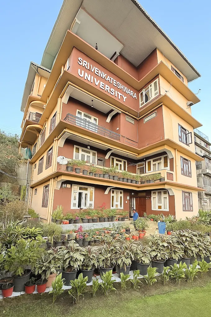 University Gallery Image