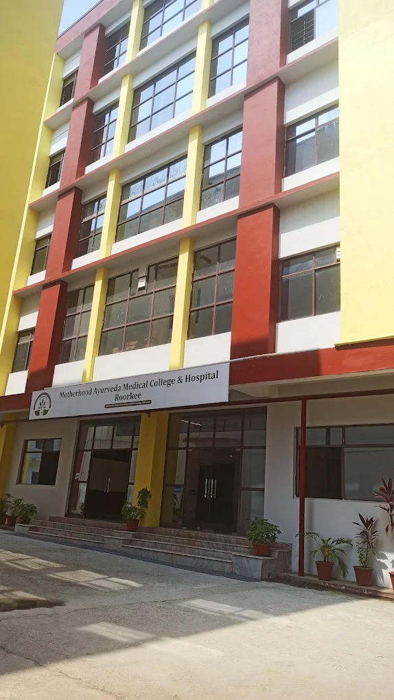 University Gallery Image