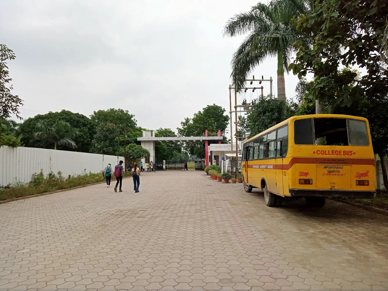 University Gallery Image