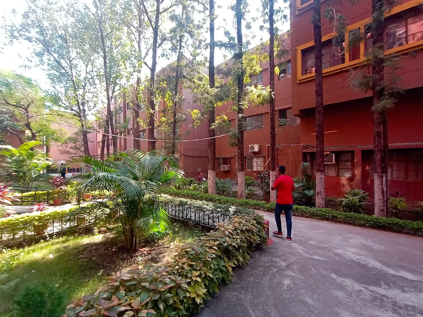 University Gallery Image