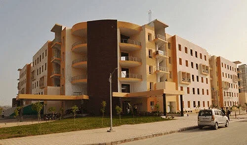 University Gallery Image