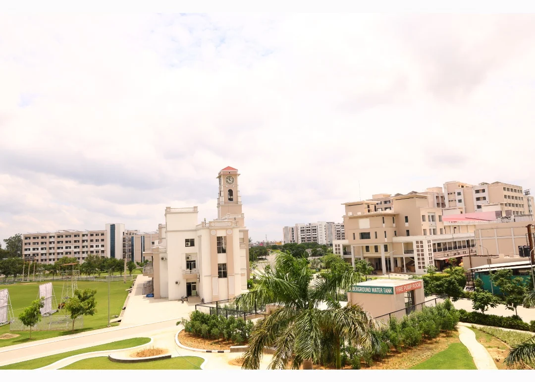 University Gallery Image