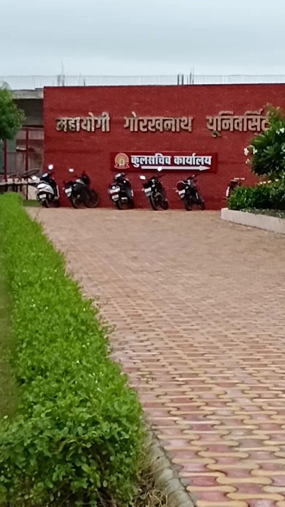 University Gallery Image