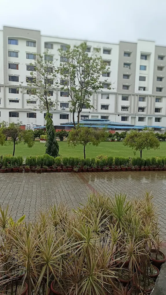 University Gallery Image