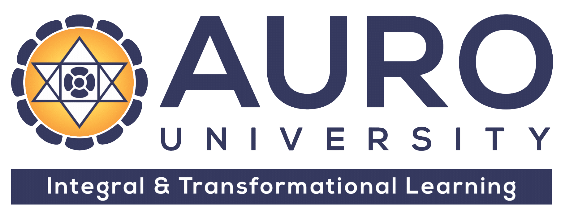 University Logo