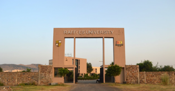 Raffles University